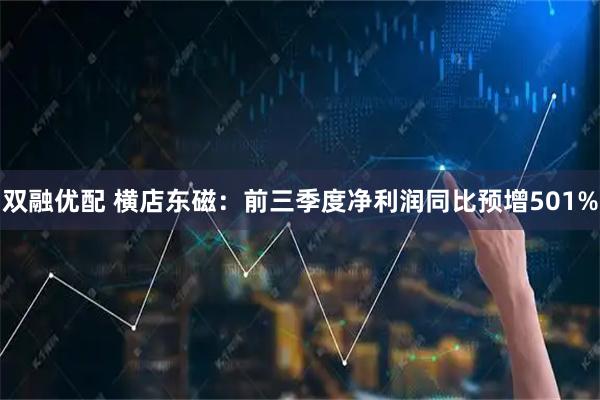 双融优配 横店东磁：前三季度净利润同比预增501%