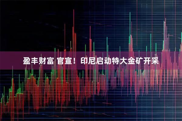 盈丰财富 官宣！印尼启动特大金矿开采