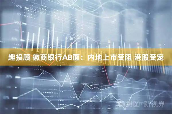 趣投顾 徽商银行AB面：内地上市受阻 港股受宠