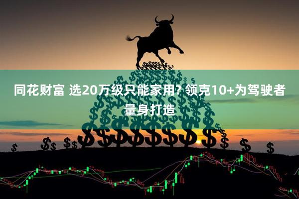 同花财富 选20万级只能家用? 领克10+为驾驶者量身打造