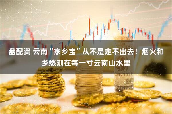 盘配资 云南“家乡宝”从不是走不出去！烟火和乡愁刻在每一寸云南山水里