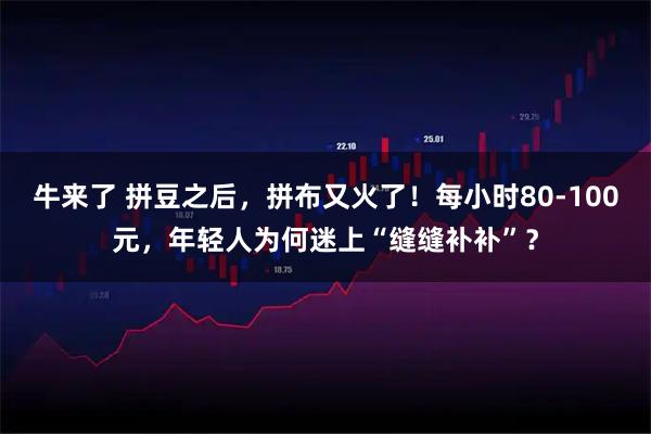 牛来了 拼豆之后，拼布又火了！每小时80-100元，年轻人为何迷上“缝缝补补”？